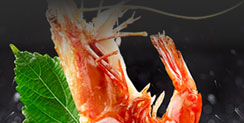 良緣美滿全包宴